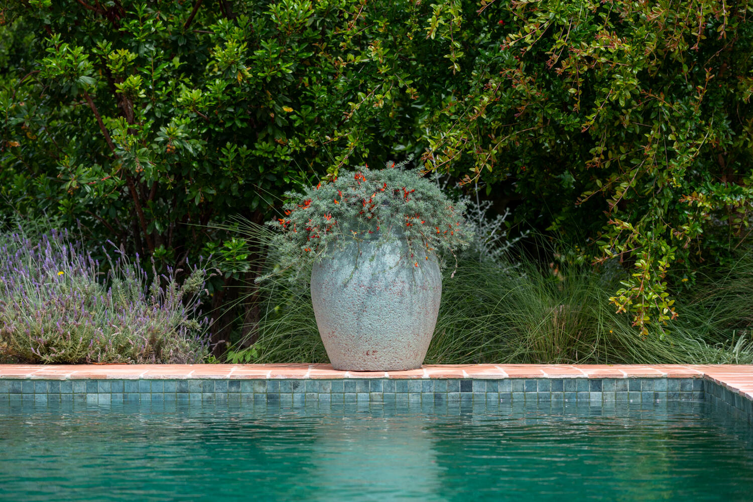 Apollo L, Rustic Green