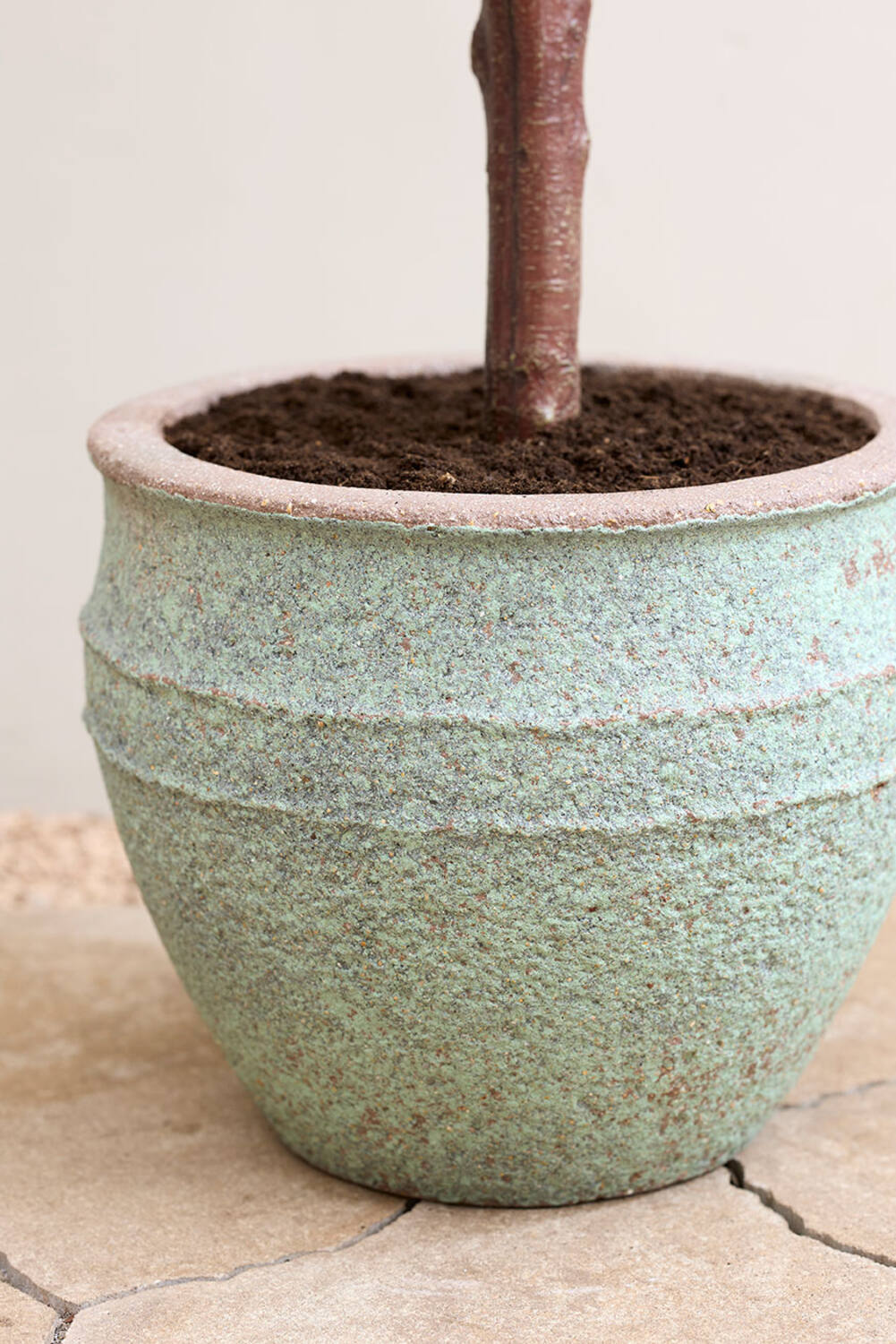 Athena S, Rustic Green