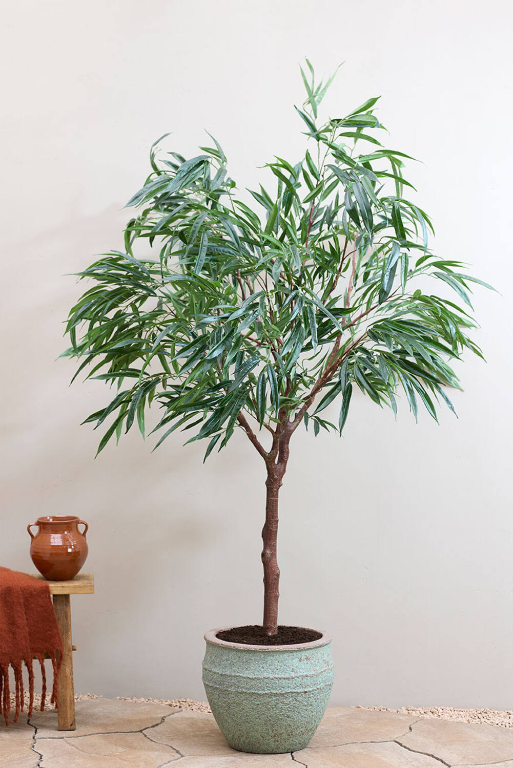 Athena S, Rustic Green