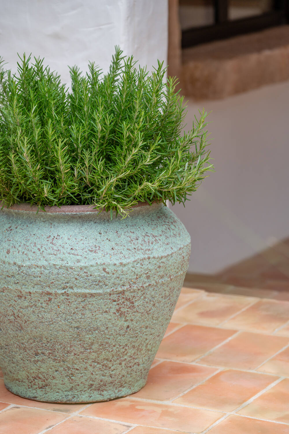 Eros L, Rustic Green