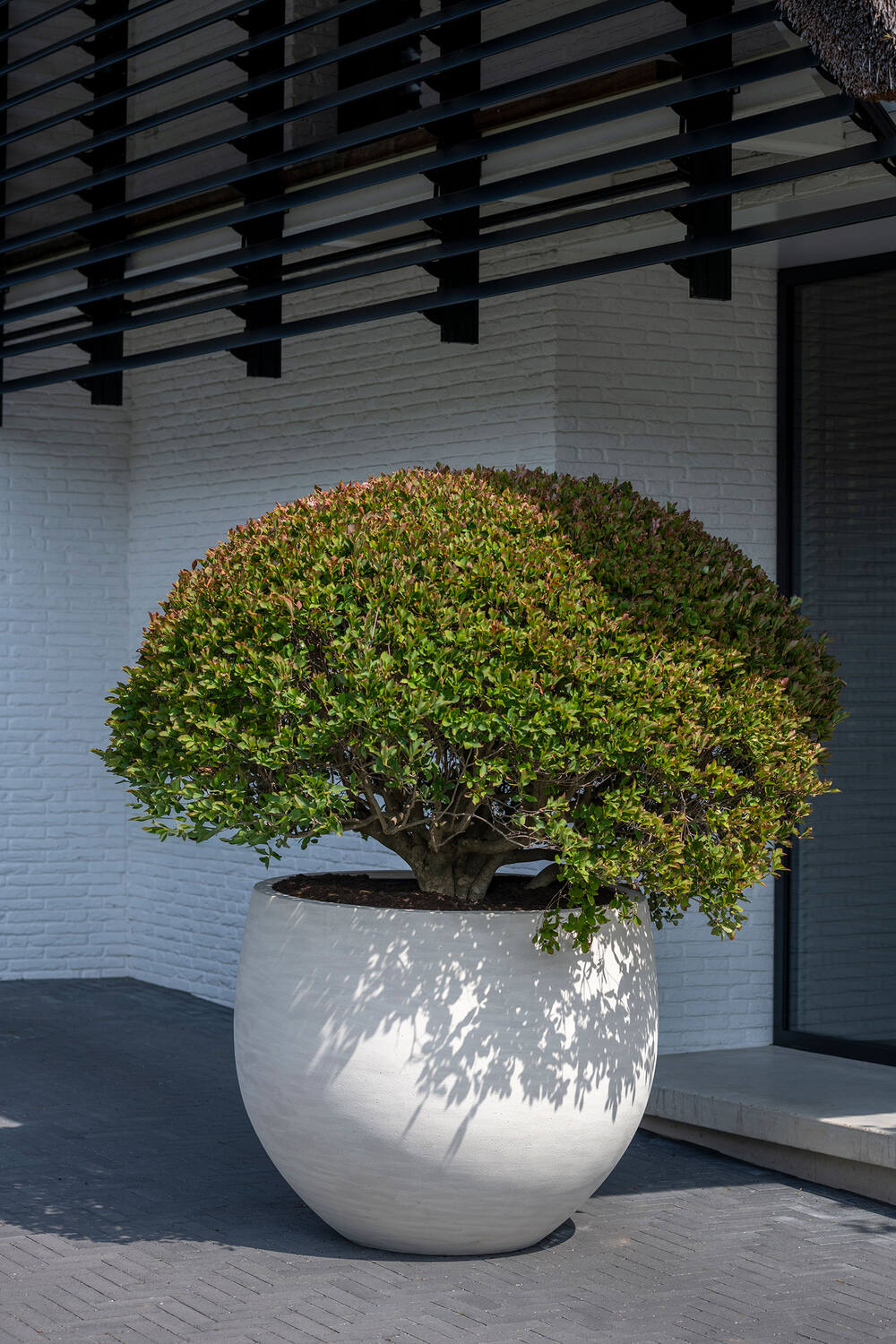 Jumbo Orb M, Ivory Washed