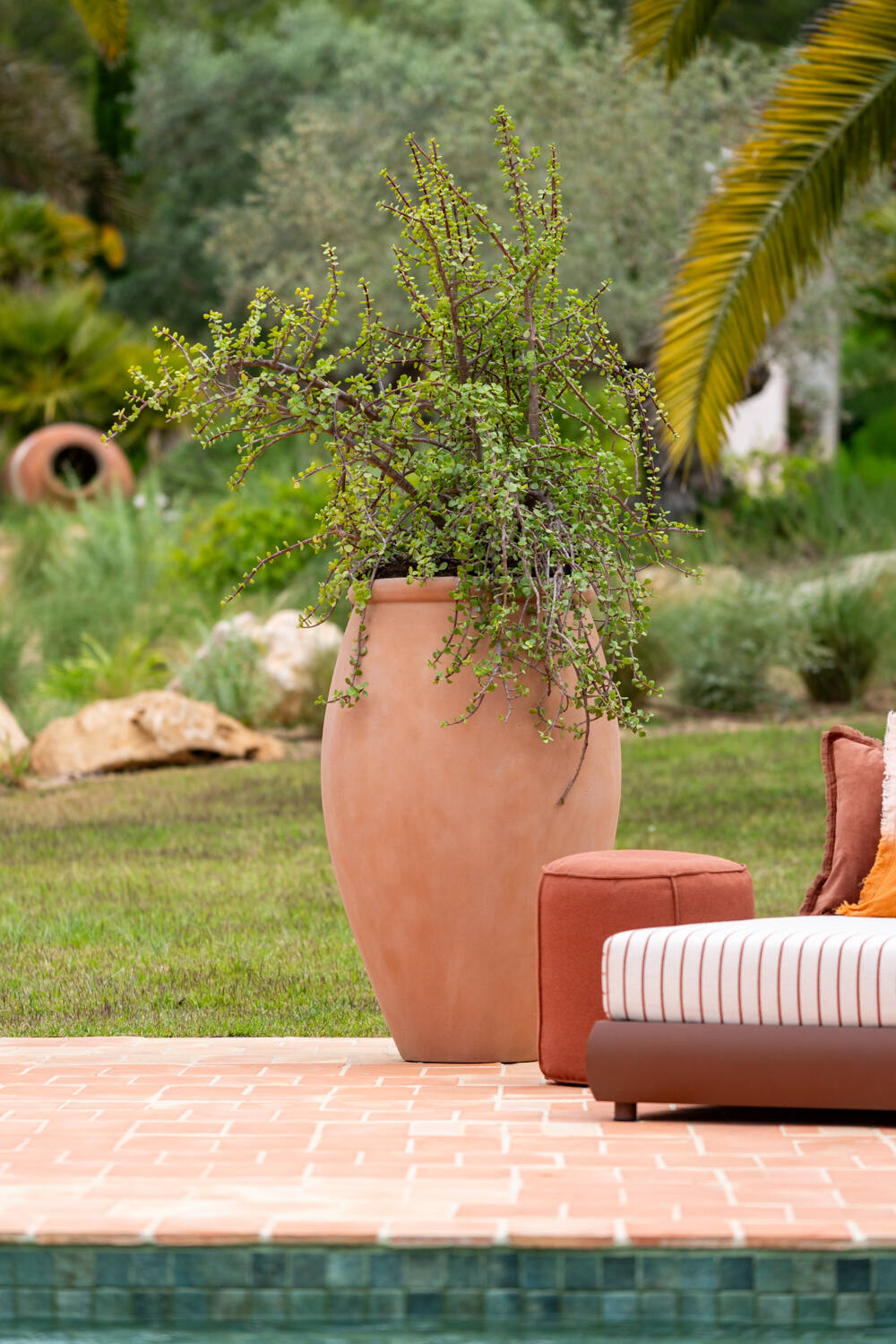 Amphora L, soft clay