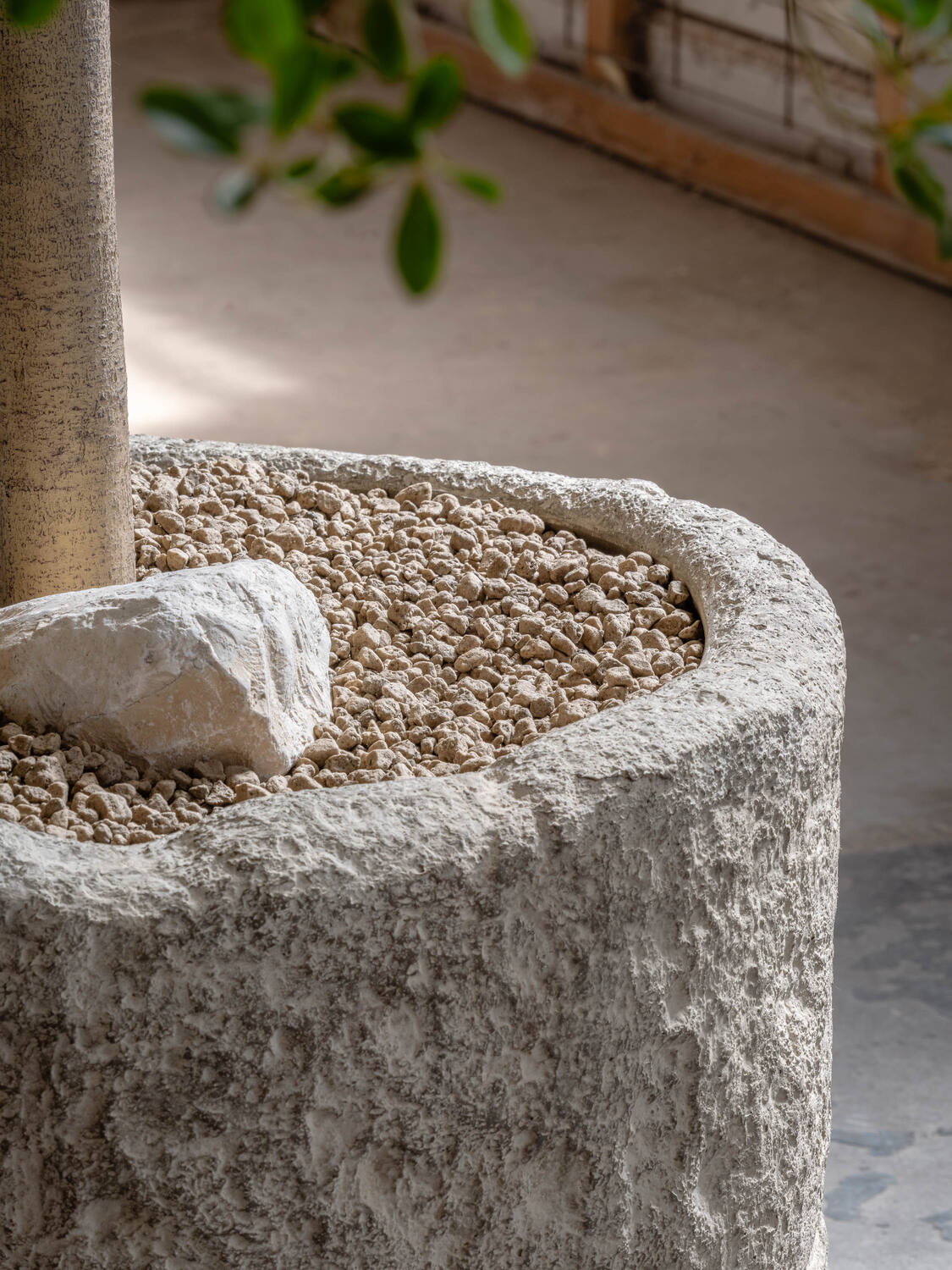 Mesa XL, Fossil Sand