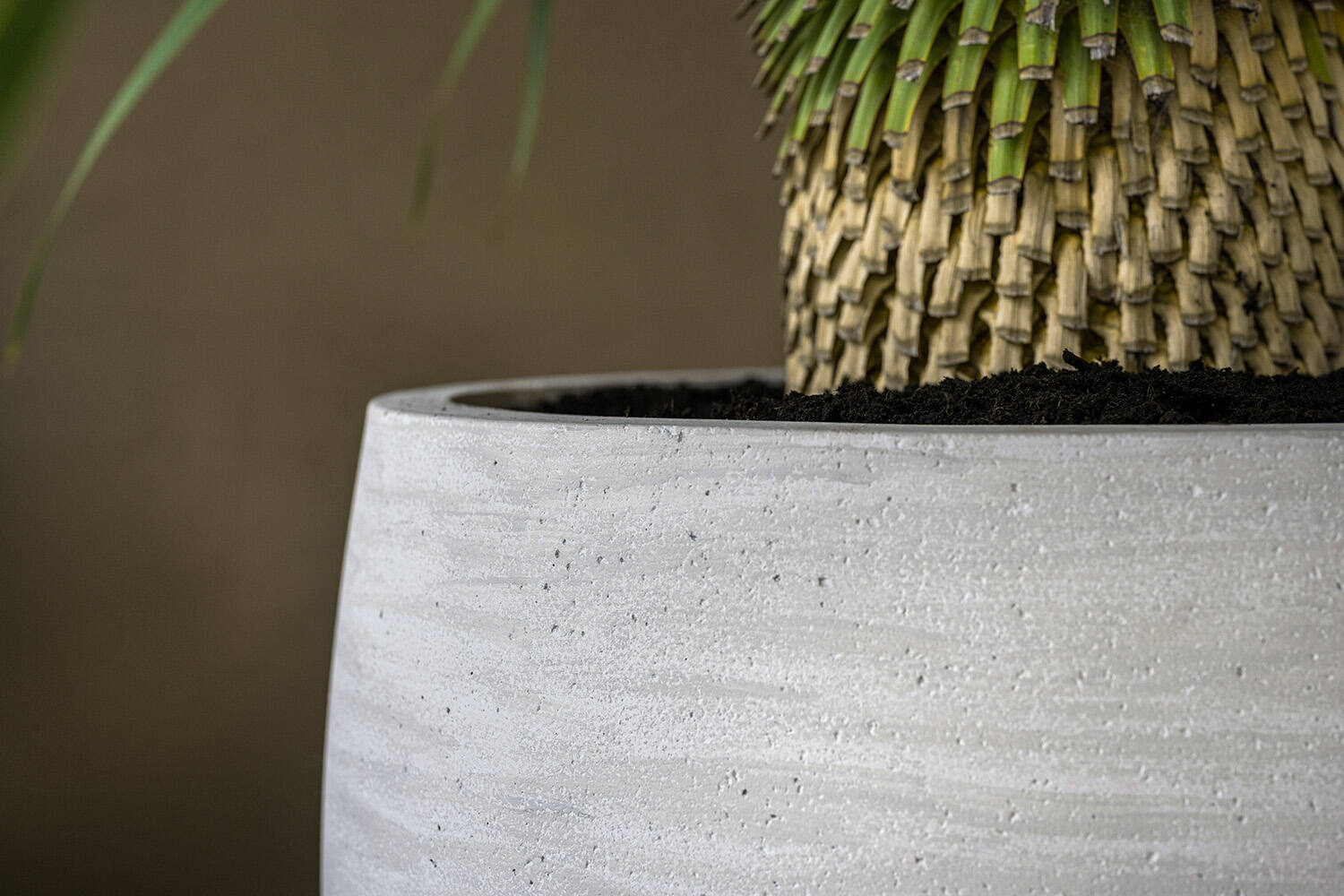 Jumbo Orb XXS, Ivory Washed