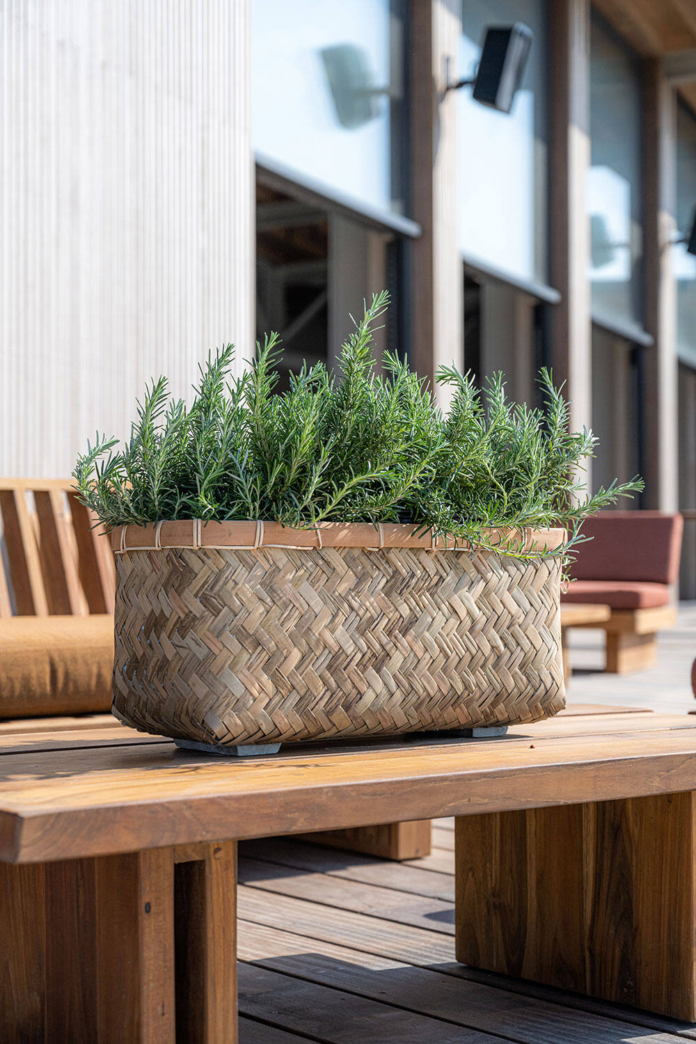 Nouri M, Bamboo