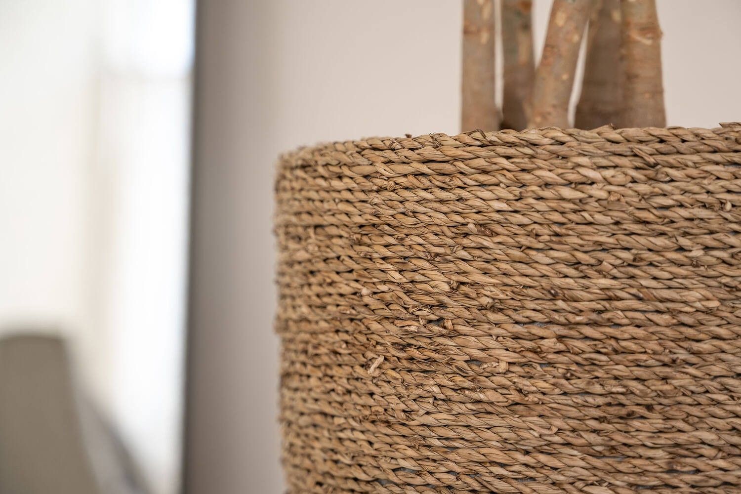 Cody L, Straw Grass