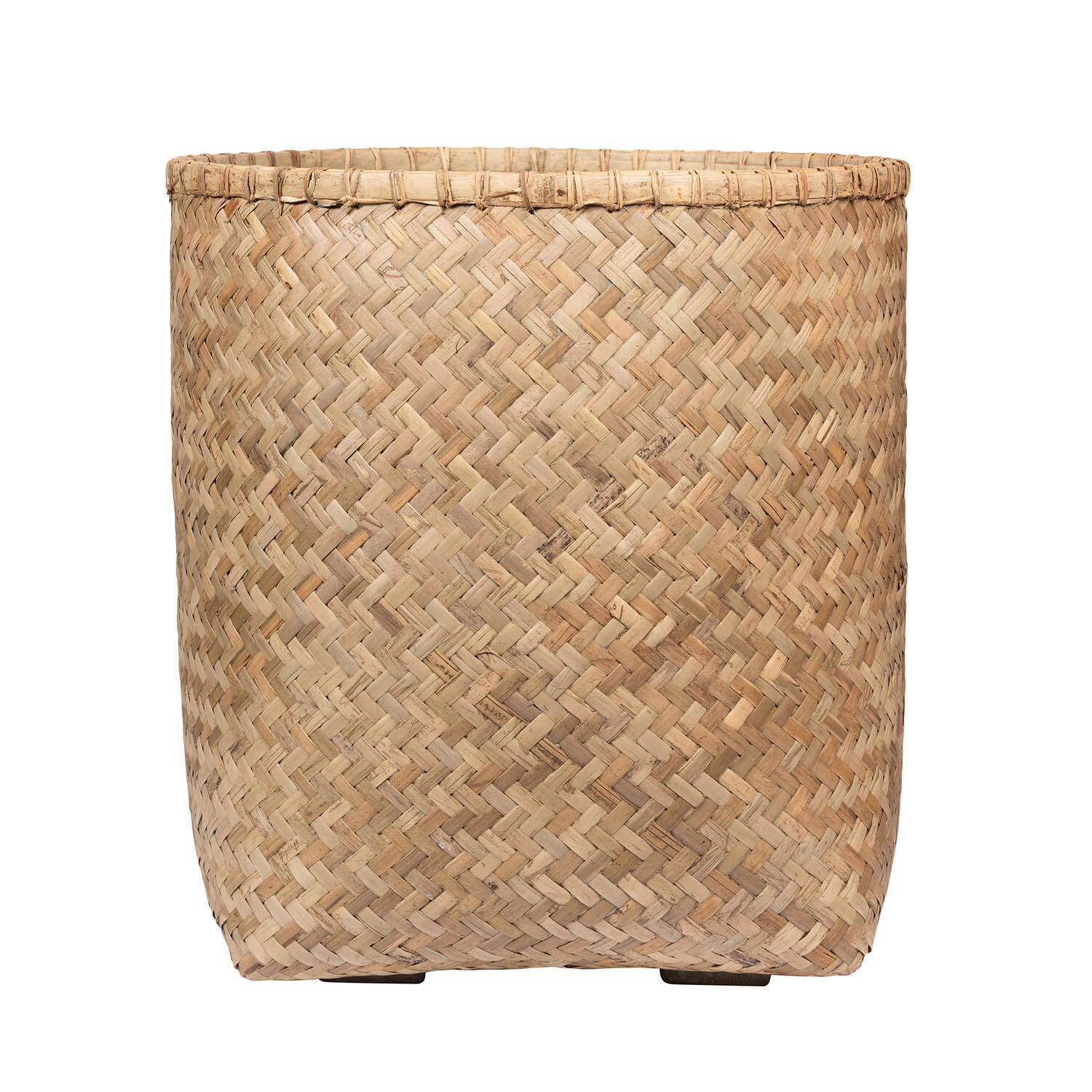 Zayn L, Bamboo