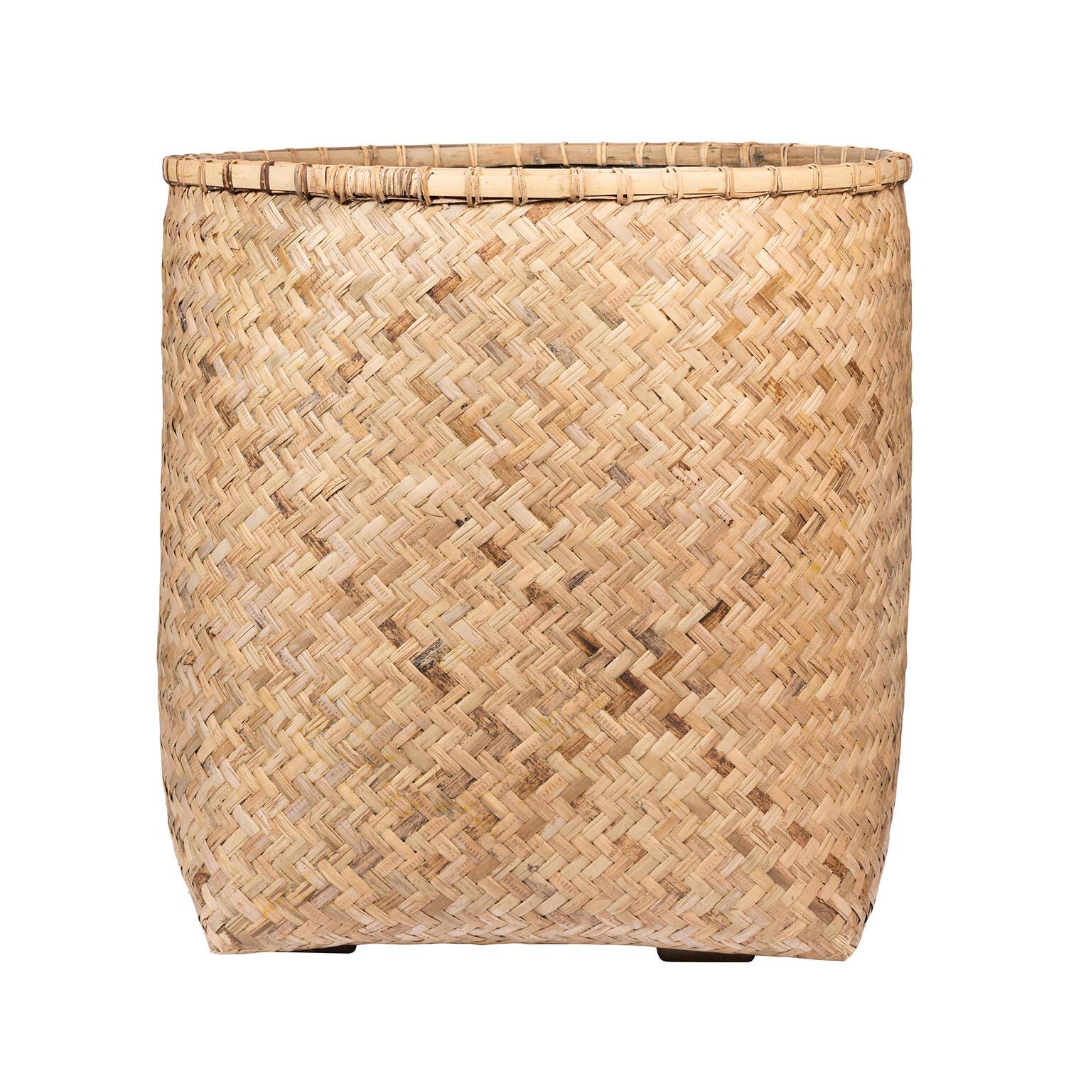 Zayn XL, Bamboo