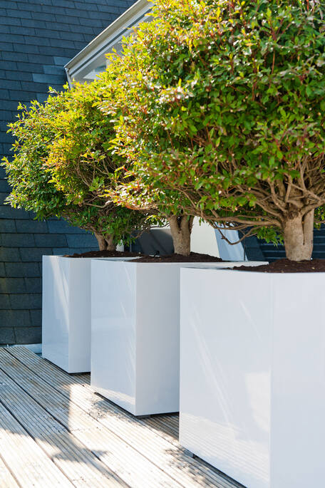 Block S, Glossy White
