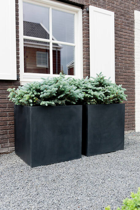 Block M, Black