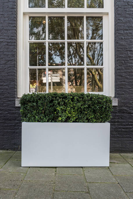 Jort Essential EU