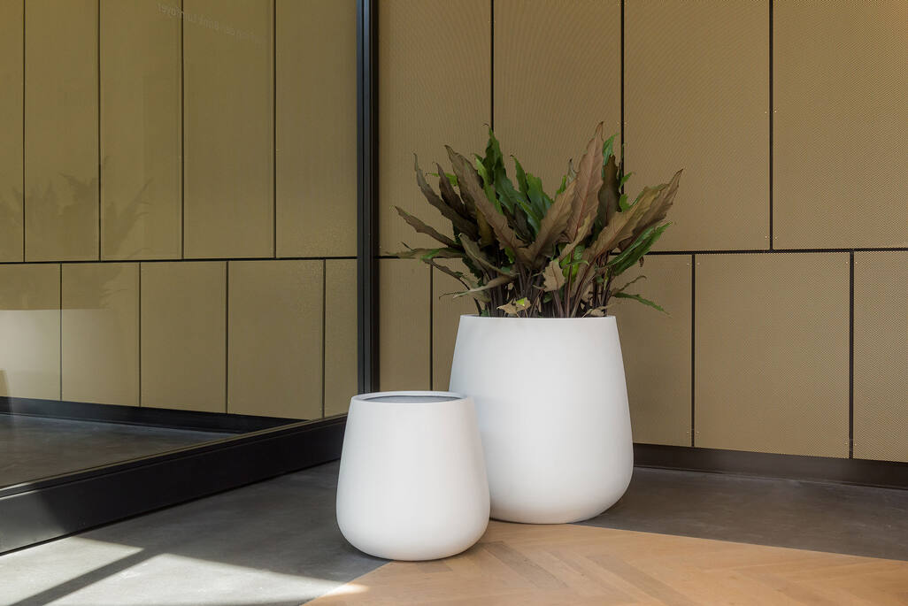 Pax M, Matte White