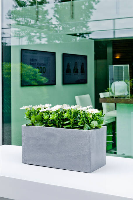 Balcony Natural USA