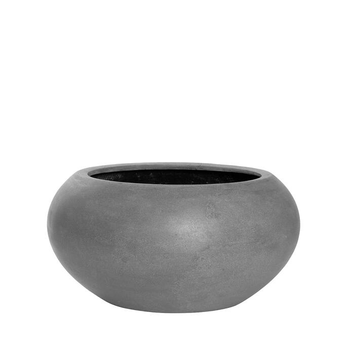 Cora S, Grey