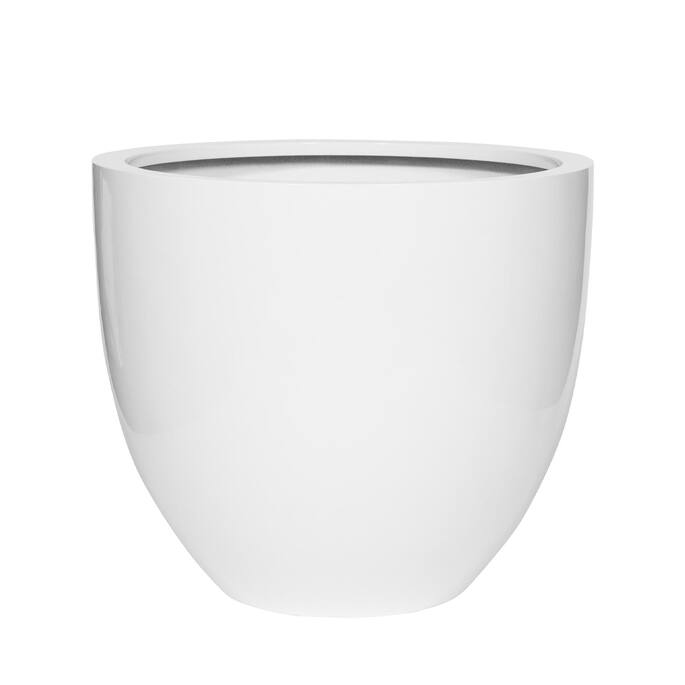 Jesslyn M, Glossy White