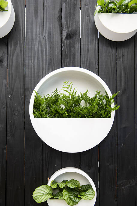Wally (hanging) M, Matte White