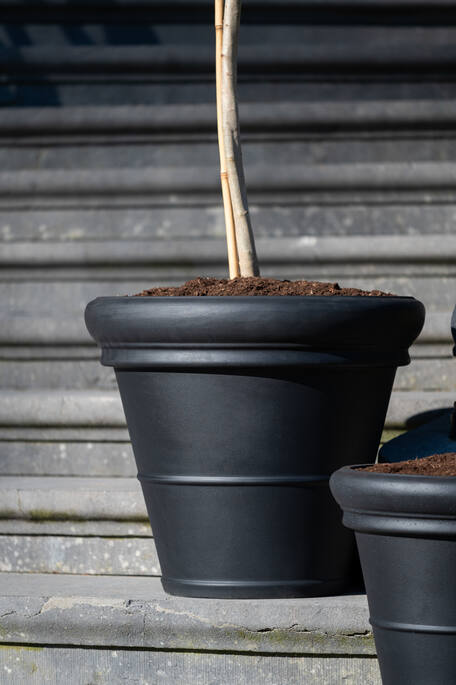 Bucket Low Classic M, Black