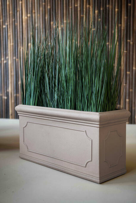 Grass in pot