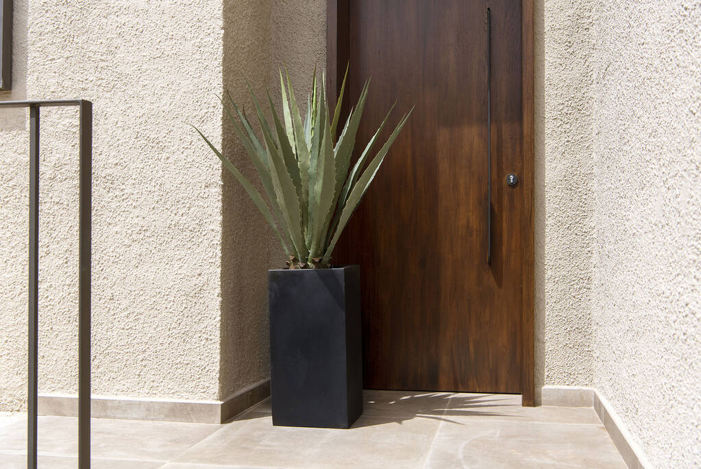Agave L, Green