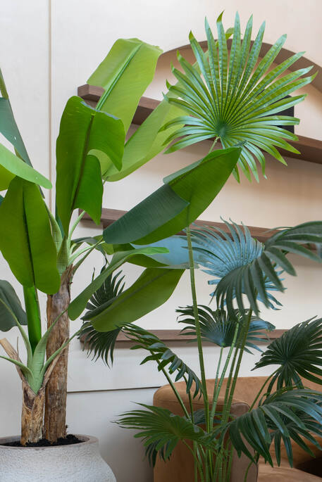 Palm tree (EU)