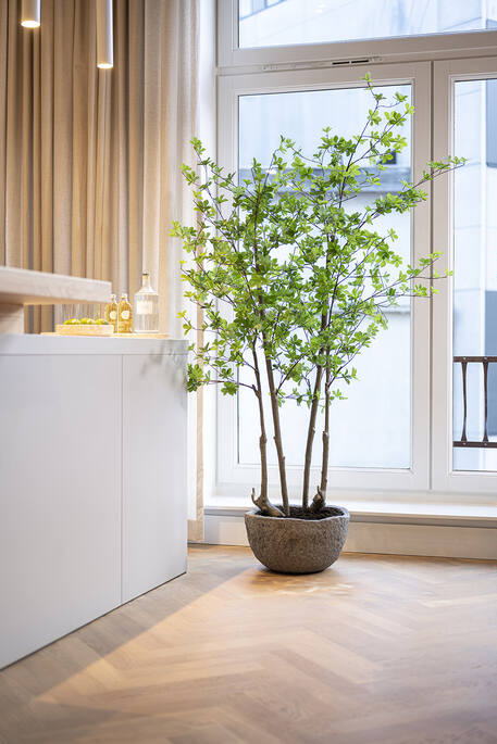 Enkianthus perulatus EU