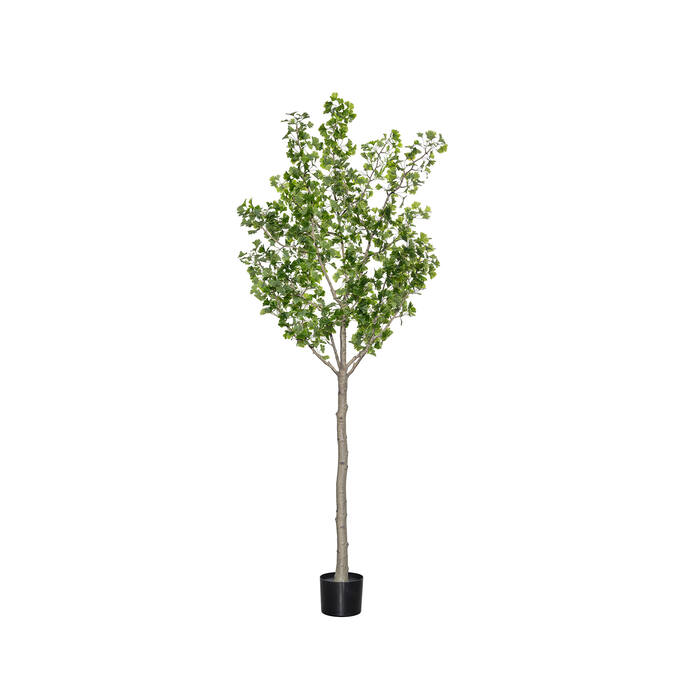 (EU) Ginko Biloba 