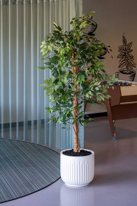 Arcus XS, Silk White