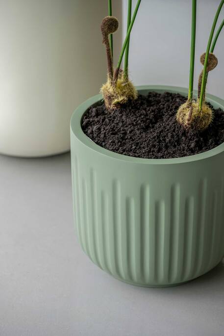Arcus S, Sage Green