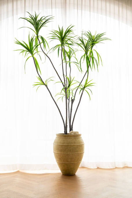 Romera L, Mossy Beige