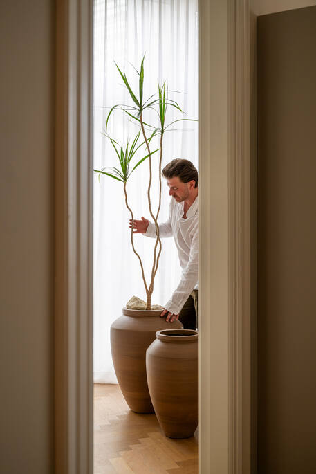 Dafni M, Root Brown