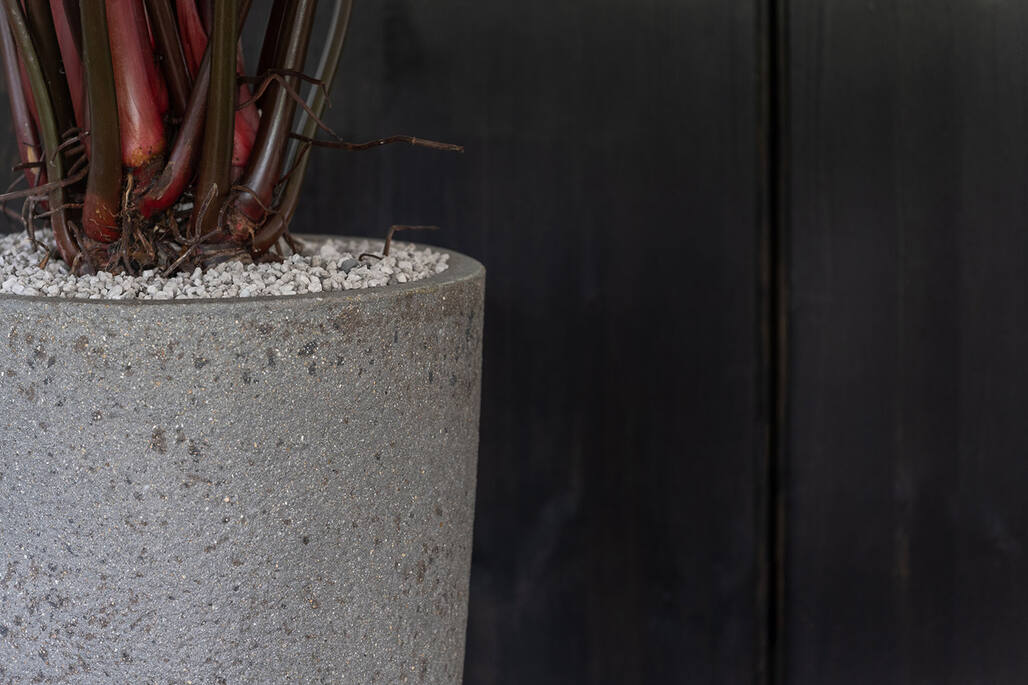 Dax XL, Diorite Grey