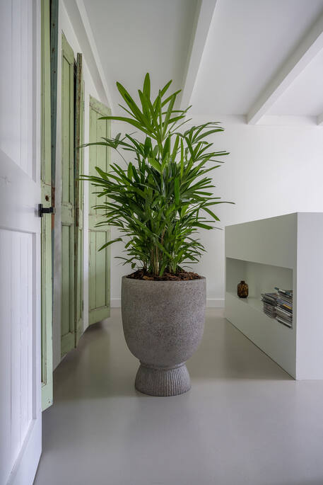 Jola High L, Diorite Grey