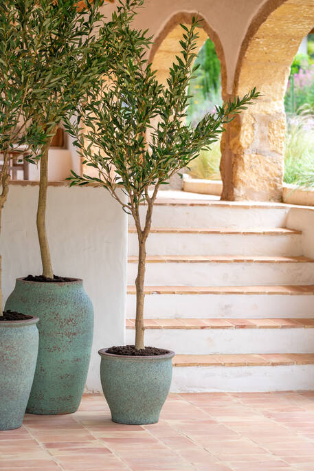 Poseidon L, Rustic Green