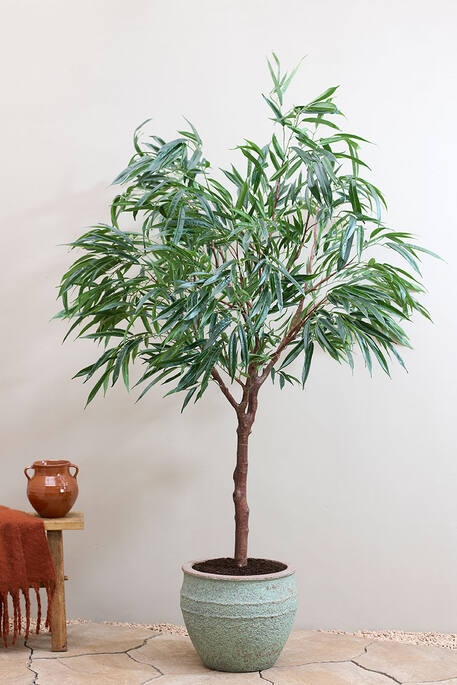 Athena S, Rustic Green