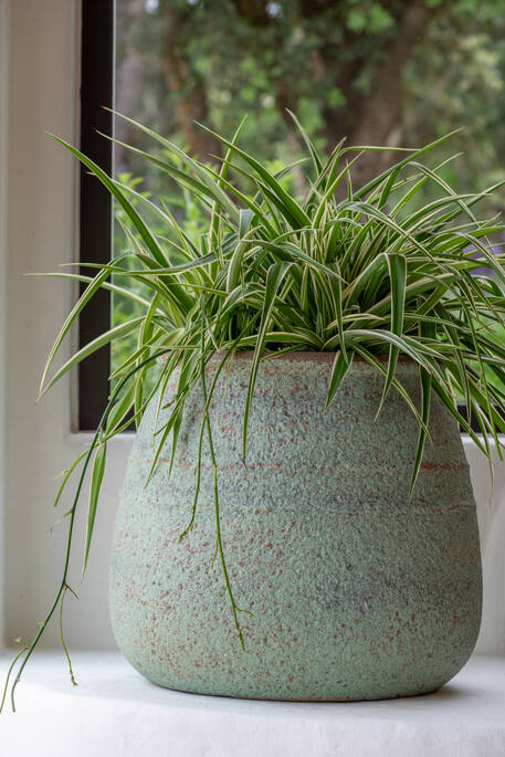 Hestia L, Rustic Green