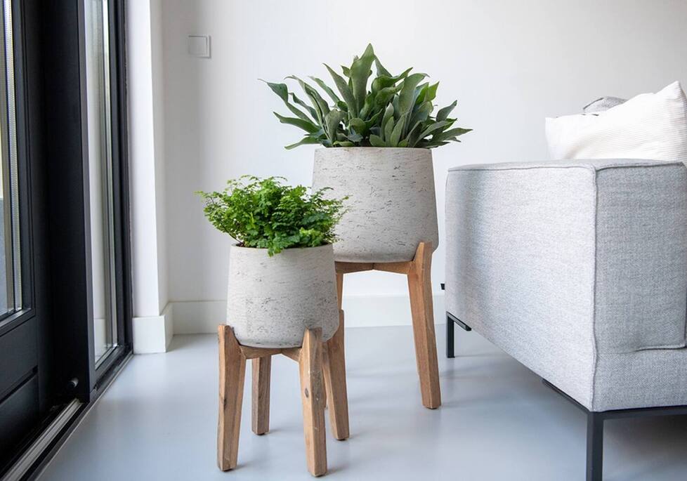 Patt XXL (Feet High), Grey Washed