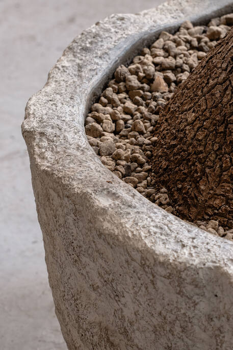 Dune XL, Fossil Sand