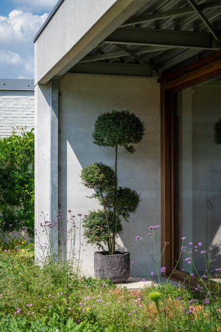 Mesa L, Fossil Dark