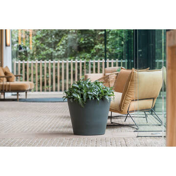 Bucket S, Pine Green
