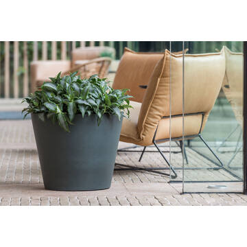 Bucket M, Pine Green