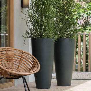 Dax XL, Pine Green