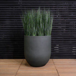 Jumbo Lex S, Pine Green