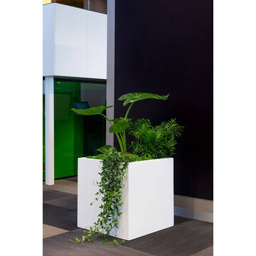 Block S, Matte White