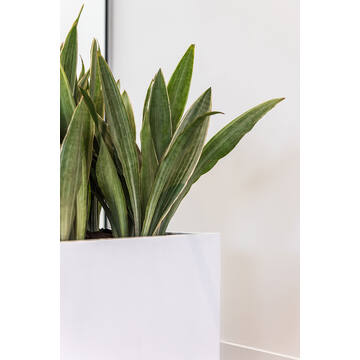 Block S, Matte White