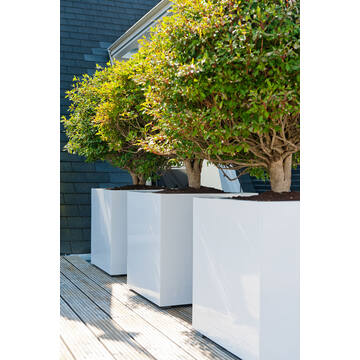 Block S, Glossy White