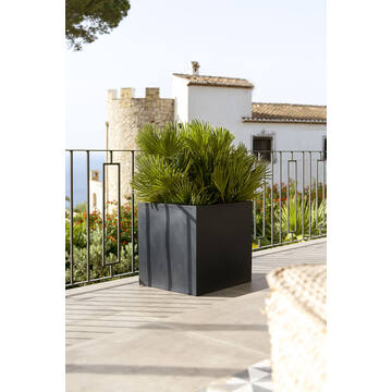 Block M, Black