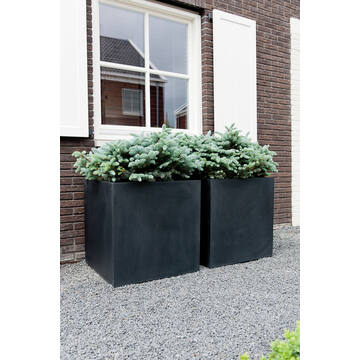 Block M, Black