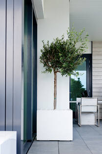 Block M, Glossy White