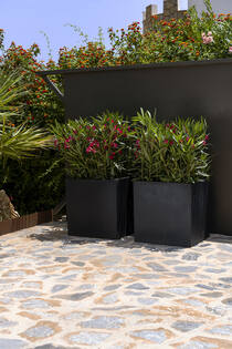 Block XL, Black