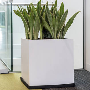 Block XL, Matte White